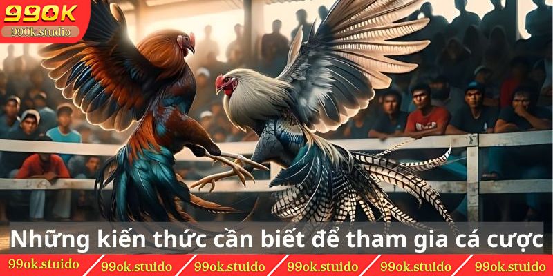 Những kiến thức cần biết để tham gia cá cược