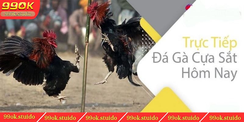Hướng dẫn cách chơi đá gà cựa sắt chuẩn cao thủ